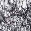 tangle2